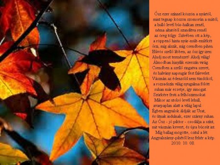 Az ősz búcsúja