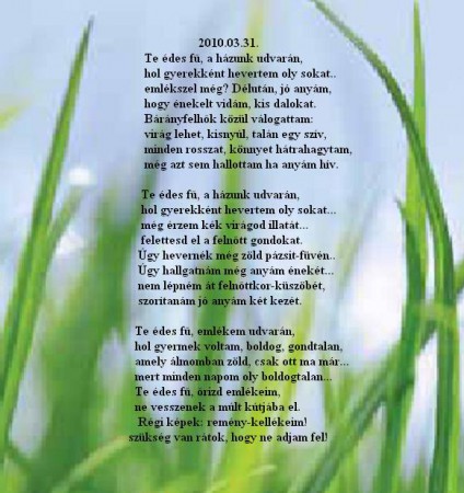 Te édes fű a házunk udvarán ....